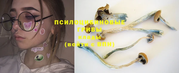 дмт Бикин