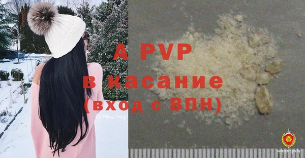 прущие грибы Артём