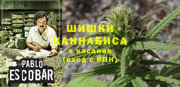 гидра Белая Холуница