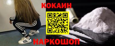 гашик Гатчина
