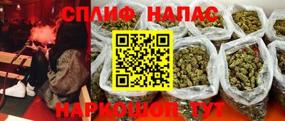 spice Гай