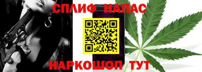 гашик Гатчина