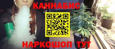 гашик Гатчина