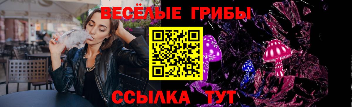 Псилоцибиновые грибы Cubensis  Химки 